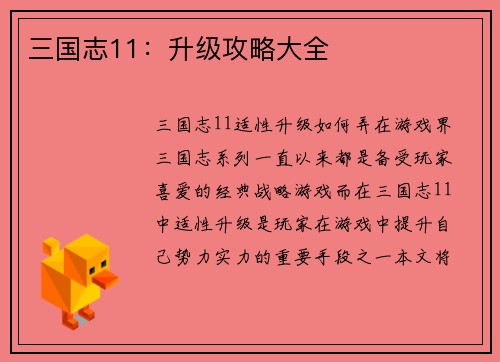 三国志11：升级攻略大全